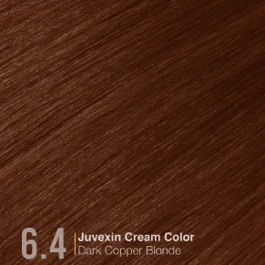 6.4 DarkCopperBlonde 1