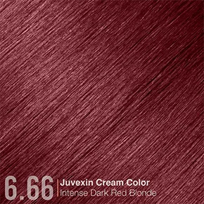 6.66 IntenseDarkRedBlonde