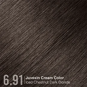 6.91 IcedChestnutDarkBlonde